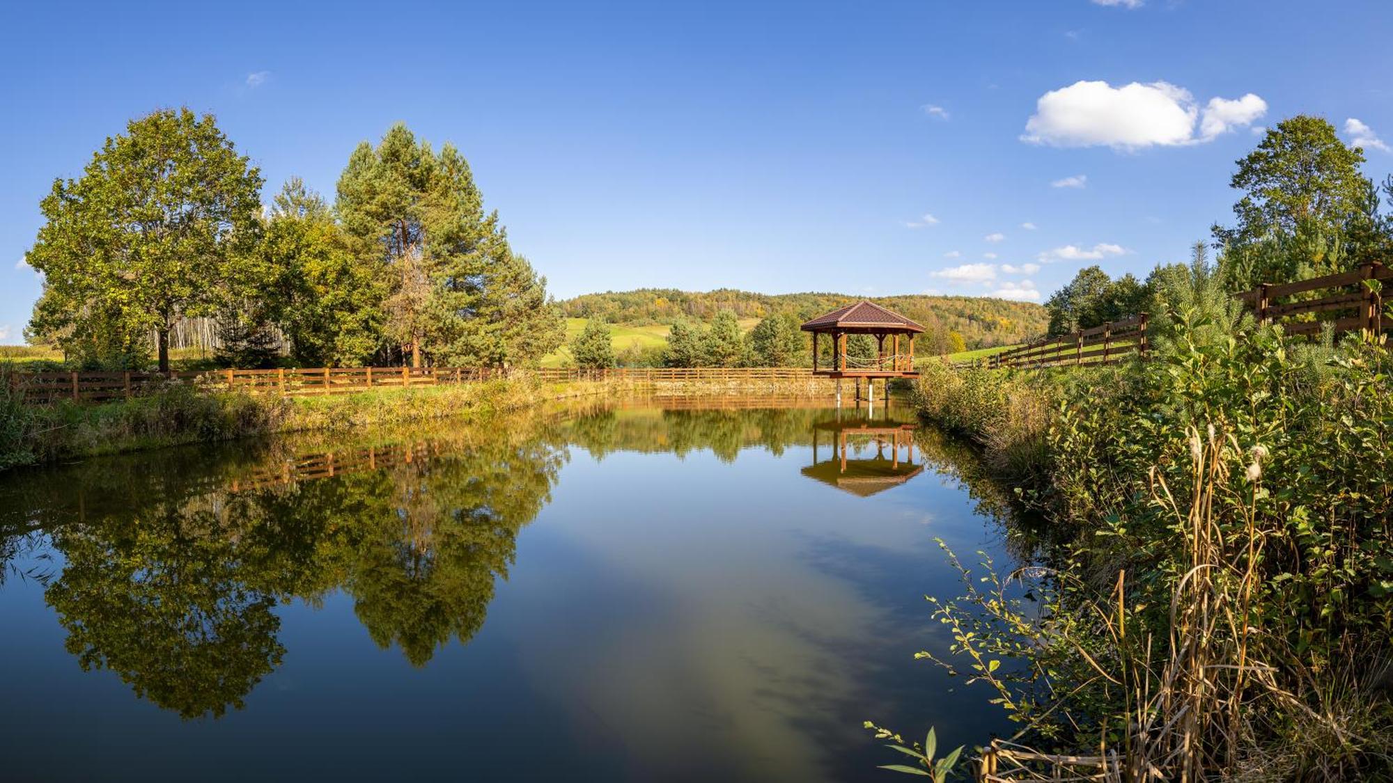 Glamping Pod Gwiazdami Pietrusza Wola Hotel Exterior photo