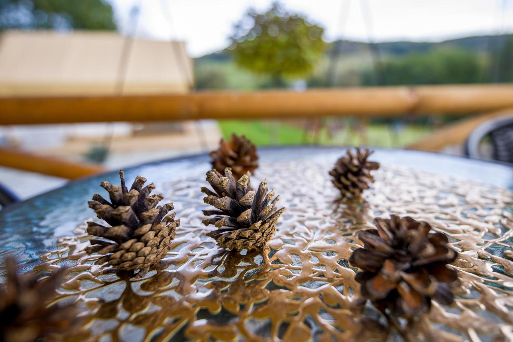 Glamping Pod Gwiazdami Pietrusza Wola Hotel Exterior photo